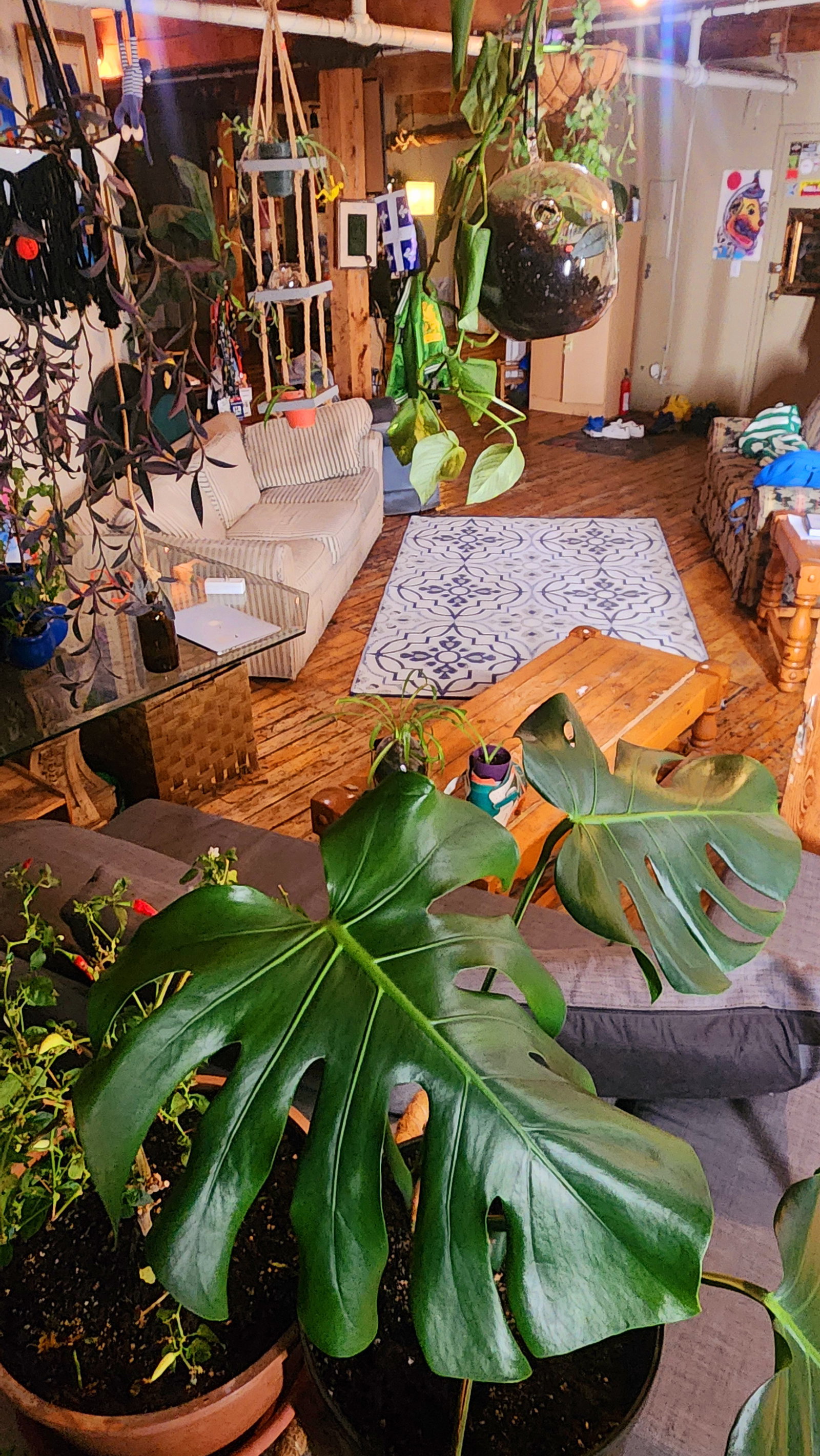 Homestay Montréal 390712