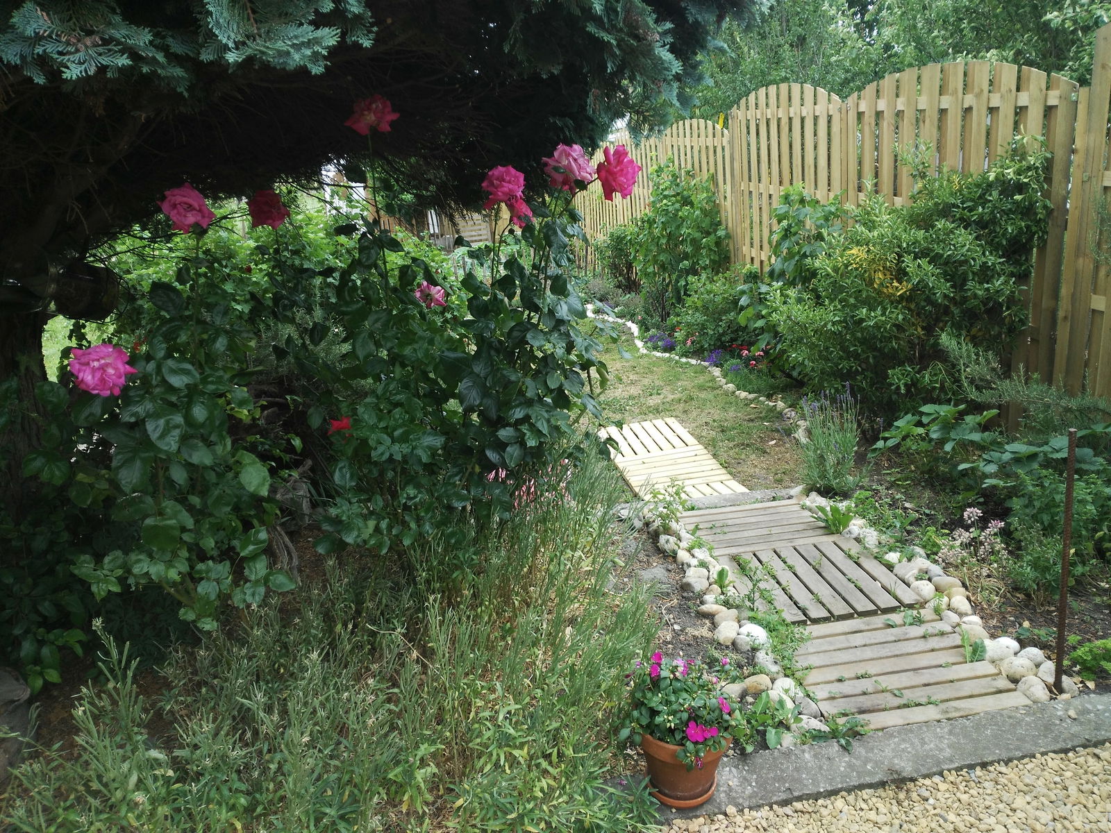 Gastfamilie Charleroi 243204