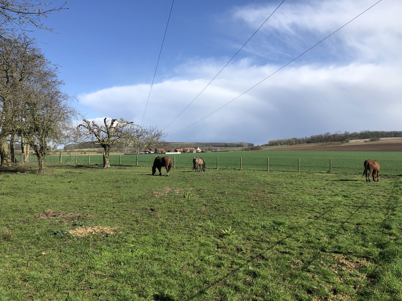 Gastfamilie Cantin 603072