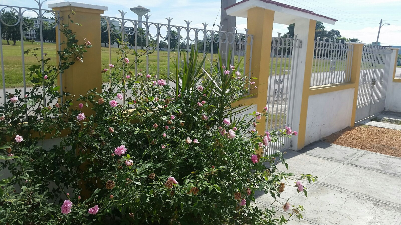 Gastfamilie Cienfuegos 176199