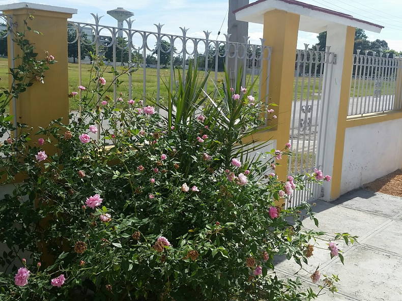 Hospedagem Em Casa De Família Cienfuegos 176199-1