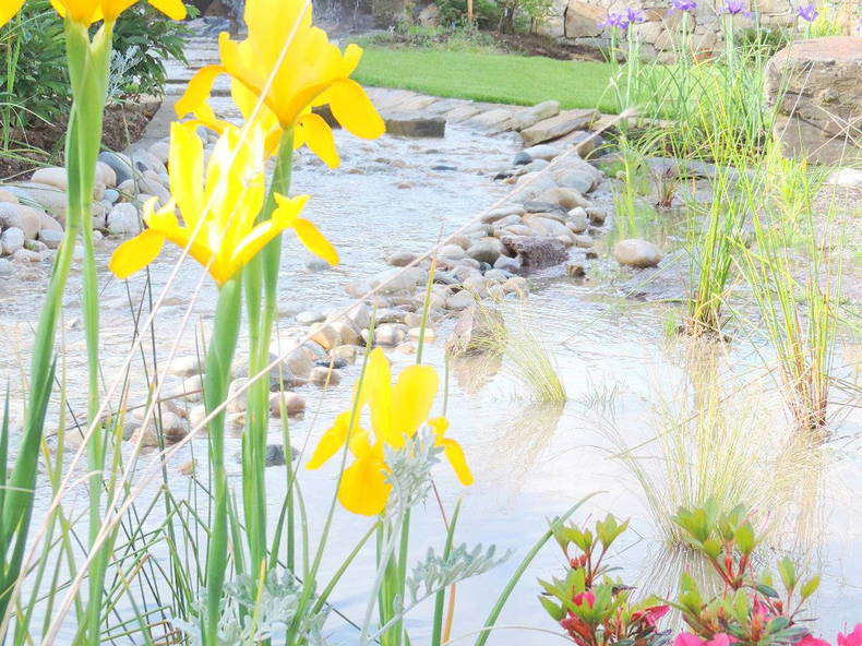 Habitaciones De Huéspedes Betton 85813-3