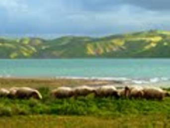 Chambres D'hôtes Tafrant 16095-4