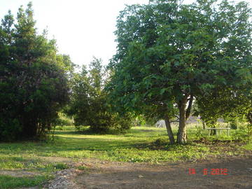 Chambre À Louer Pouillac 43557