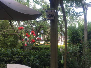 Chambre D'hôte Le Mans 23371-4