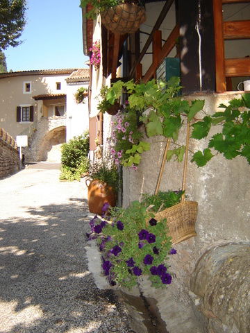 Bed And Breakfast Rogues 49157