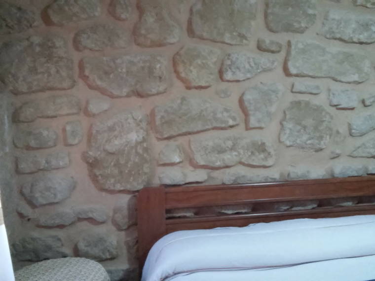 Homestay Treviana 123359