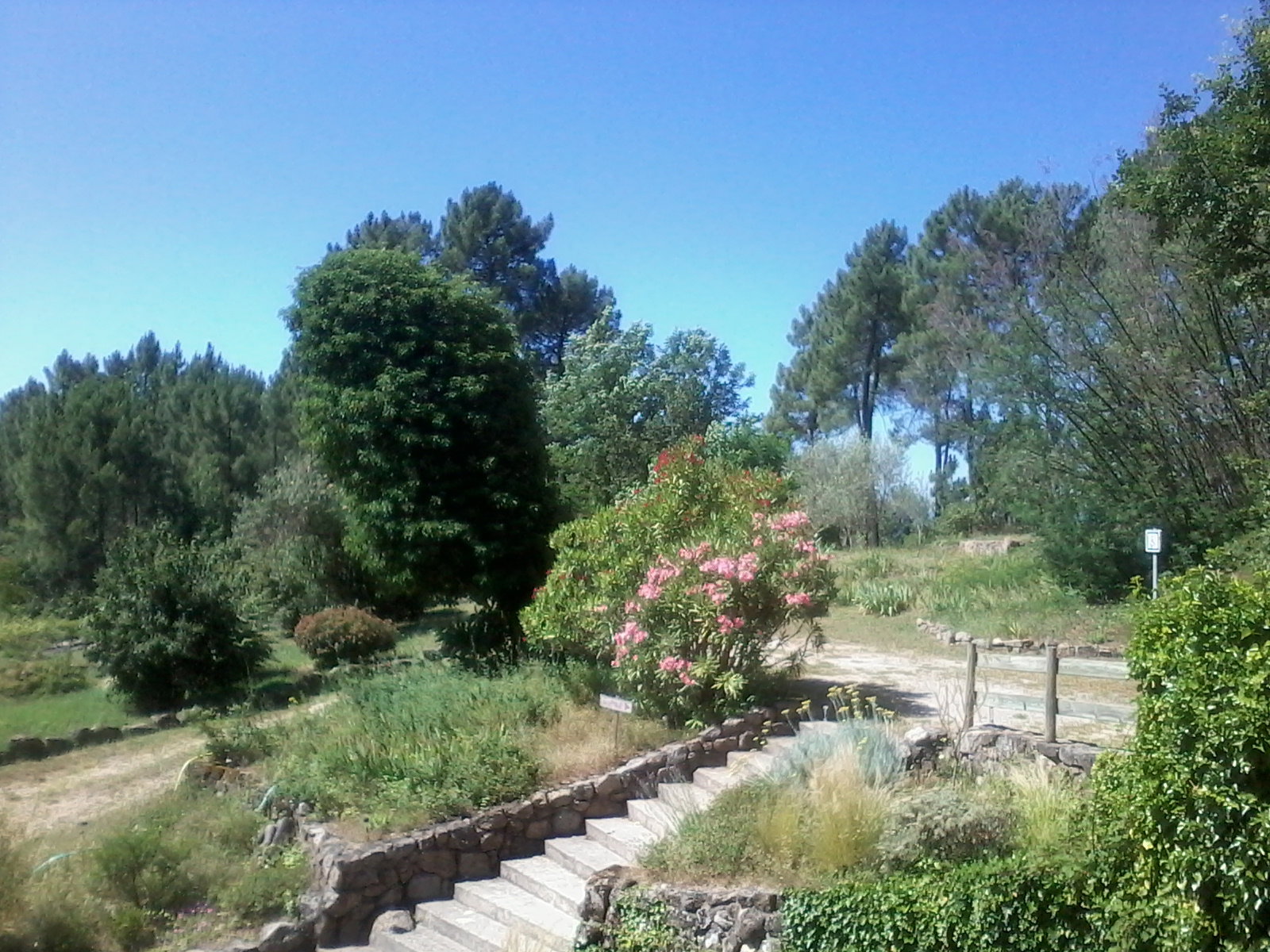 Homestay Laurac-en-Vivarais 220958