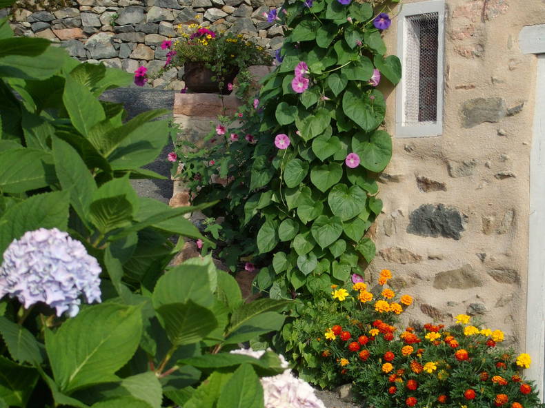 Habitaciones De Huéspedes Saint-Appolinaire 81882-2