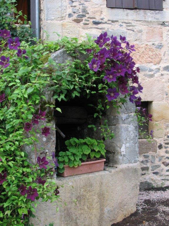 Bed And Breakfast Espeyroux 89522