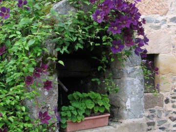 Bed And Breakfast Espeyroux 89522-8