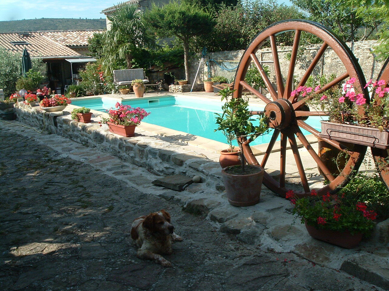 Bed And Breakfast Montlaur 77057