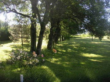 Chambre D'hôte Senouillac 55603-11