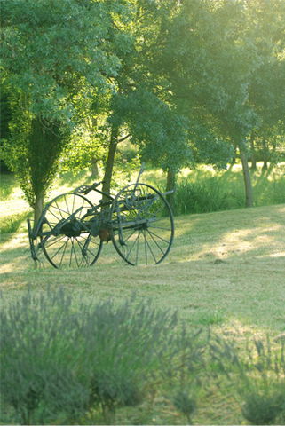 Bed And Breakfast Senouillac 55603