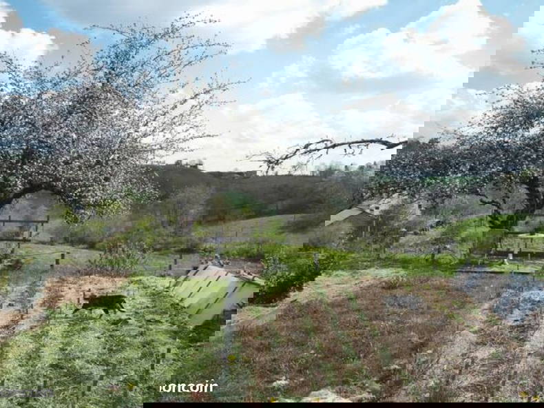 Zakwaterowanie U Rodziny Tauves 267082-5