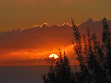 Chambre D'hôte La Réunion 37818-3