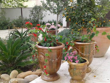 Chambre D'hôte Arles 59936-4