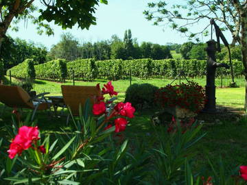 Chambre D'hôte Saint-Émilion 122736-4