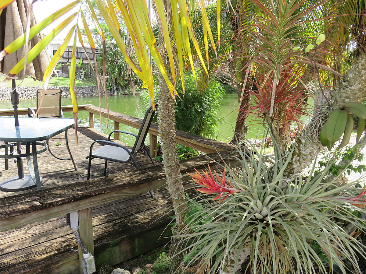 Homestay Miami 90962