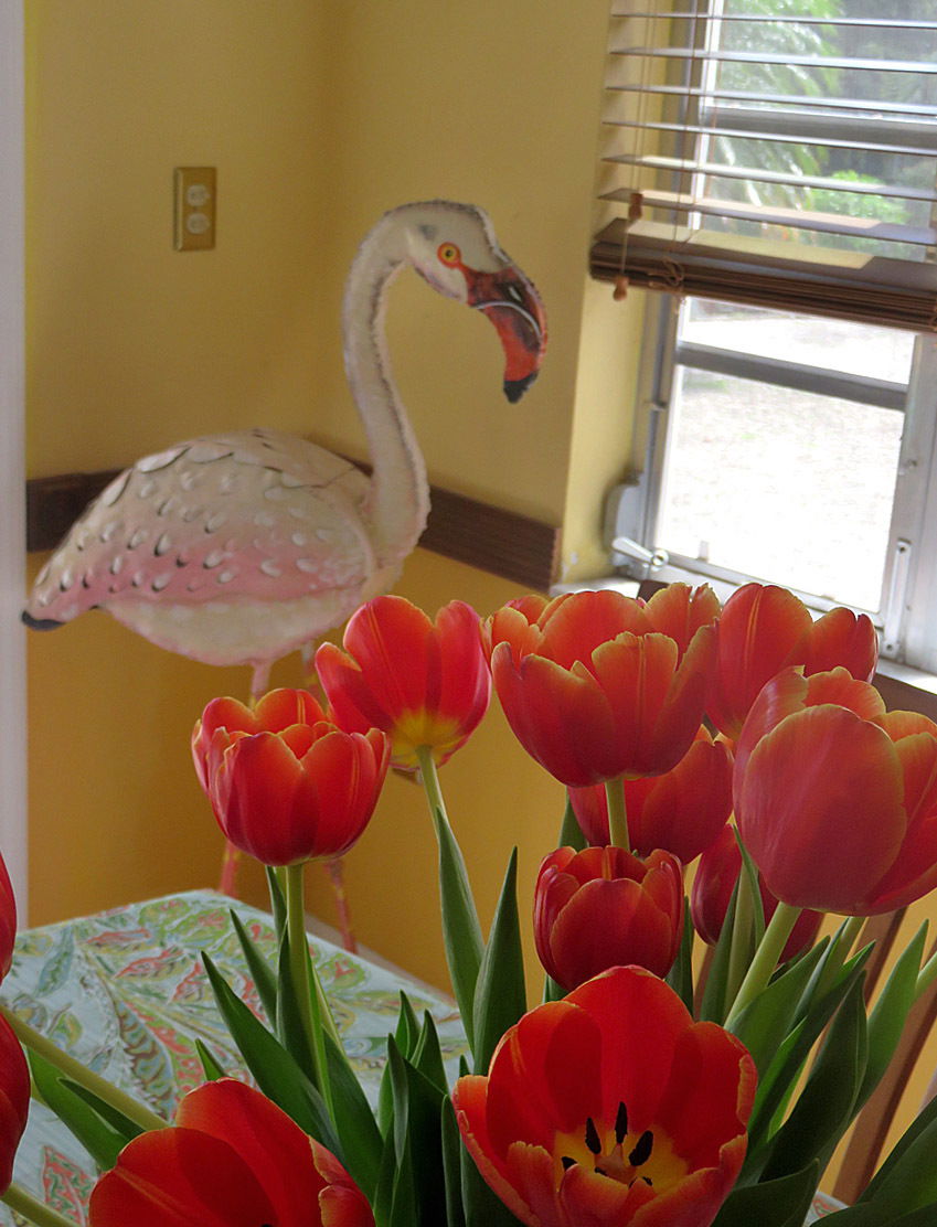 Homestay Miami 90962