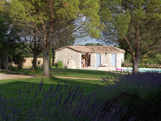 Chambres D'hôtes TOUFFAILLES 41424-5