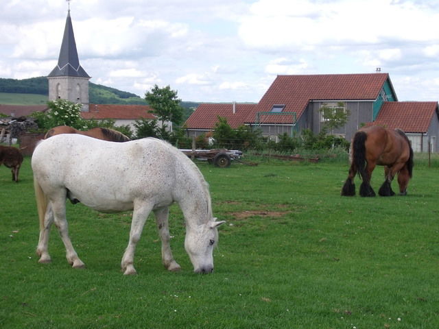 Homestay Saint-Paul 21165