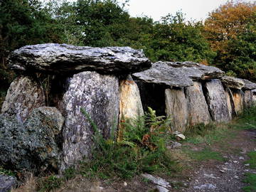 Chambre D'hôte Bruc-Sur-Aff 119144-8