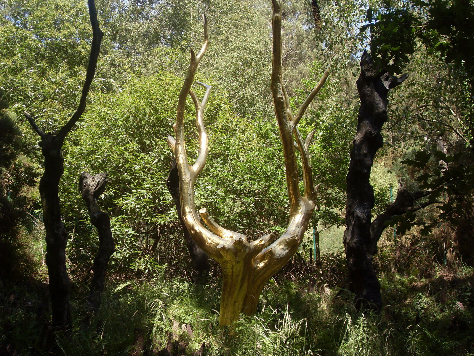 Bed And Breakfast Bruc-sur-Aff 119144