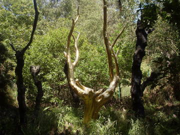Chambre D'hôte Bruc-Sur-Aff 119144-12