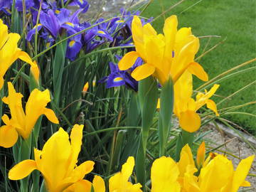 Chambre Chez L'habitant Betton 244878-9