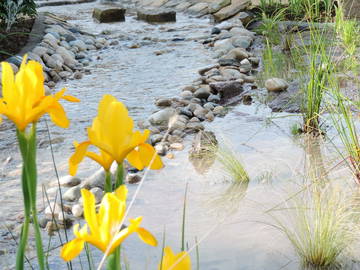 Chambre Chez L'habitant Betton 244878-10