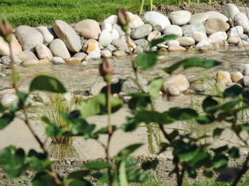 Chambre Chez L'habitant Betton 244878-12