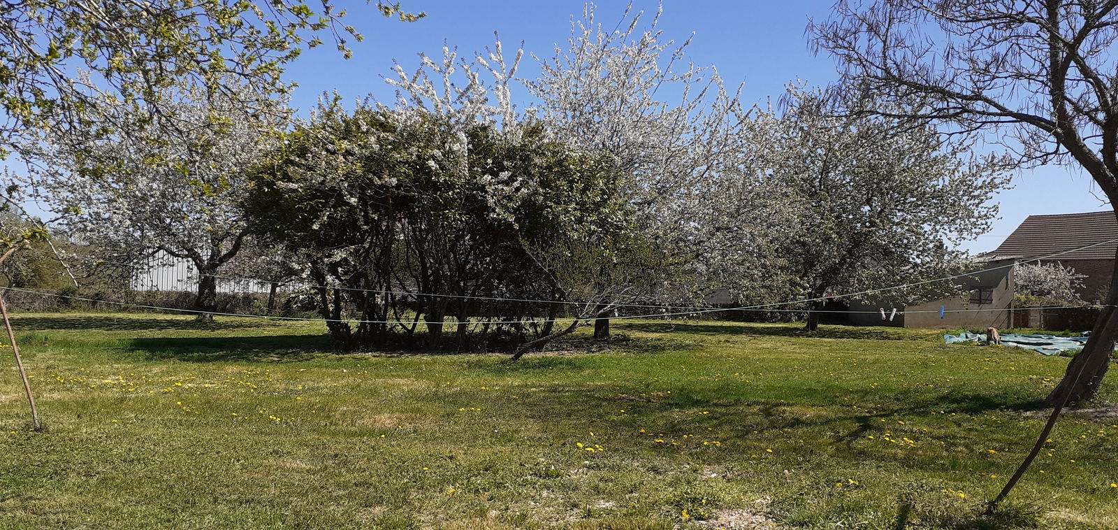 Homestay La Motte-Ternant 251235