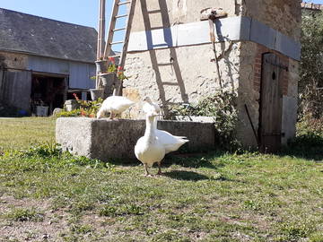 Chambre Chez L'habitant La Motte-Ternant 251447-10