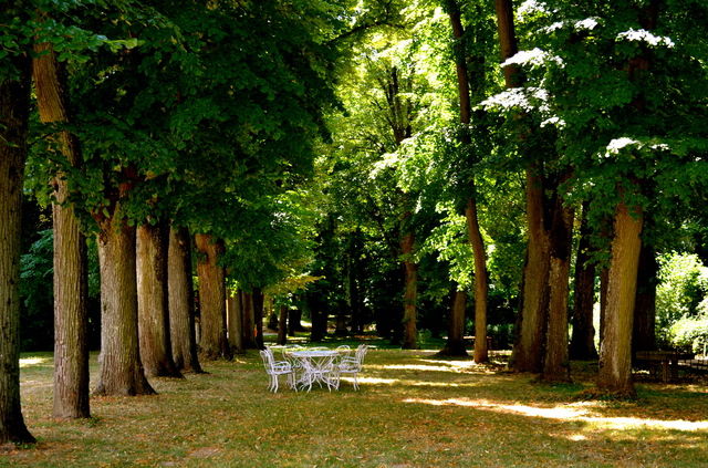 Bed And Breakfast Beausemblant 56277