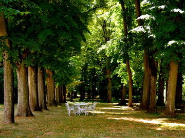 Chambre D'hôte Beausemblant 56277-7