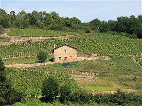 Chambres D'Hôtes À Louer