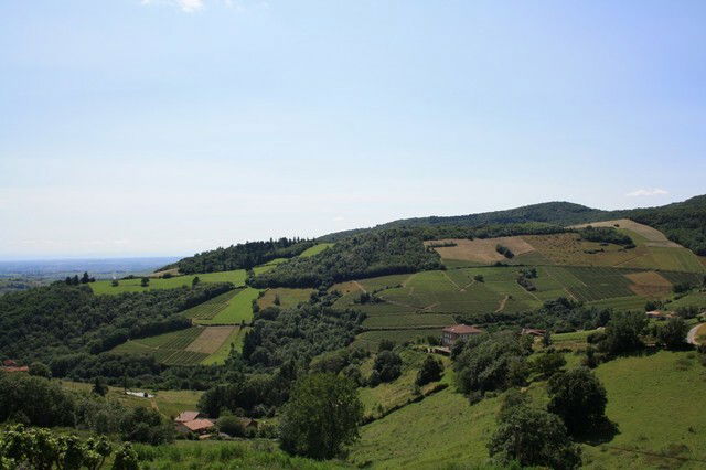 Bed And Breakfast Beaujeu 38998