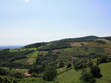 Chambre D'hôte Beaujeu 38998-8