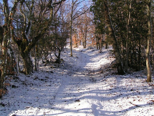 Bed And Breakfast Beaujeu 38998