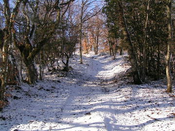 Chambre D'hôte Beaujeu 38998-9