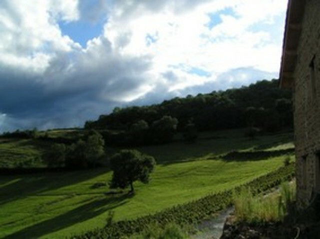 Bed And Breakfast Beaujeu 38998