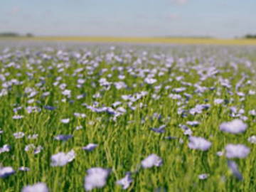 Chambre D'hôte Vassonville 49171-6