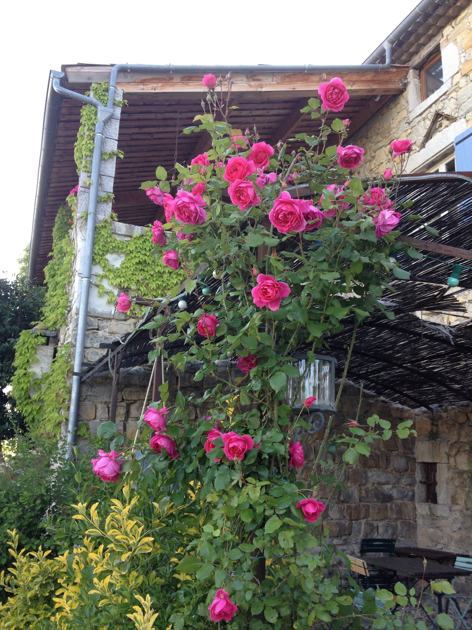 Bed And Breakfast Villeneuve-de-Berg 65882