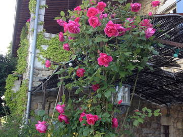 Chambre D'hôte Villeneuve-De-Berg 65882-7