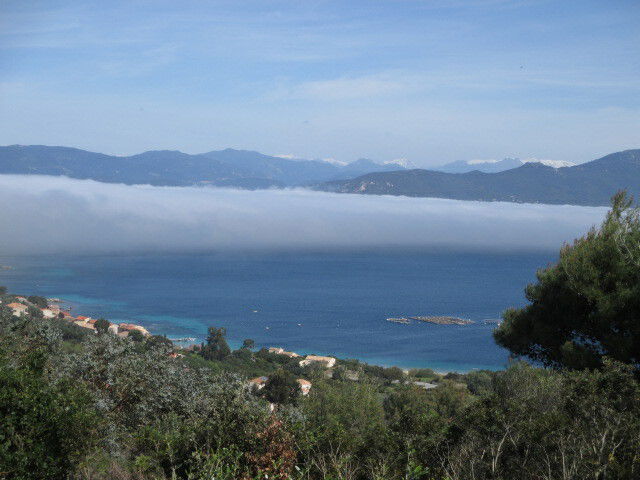 Bed And Breakfast Belvédère-Campomoro 72739