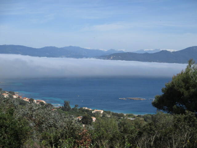 Chambres D'hôtes Belvédère-Campomoro 72739-1