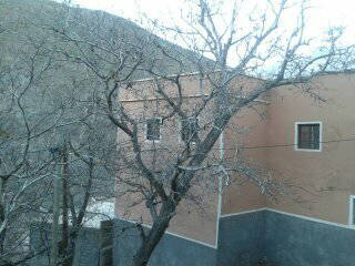 Gastfamilie Essaouira 64698-2