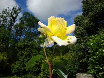 Chambre D'hôte Solignac 75108-6