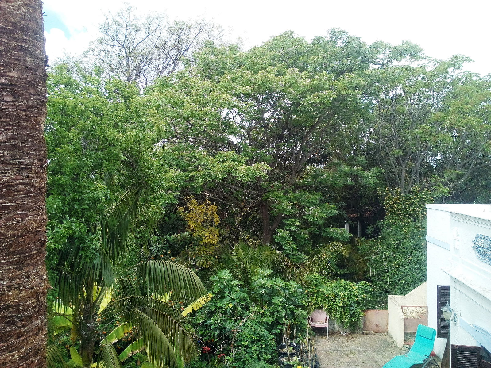 Bed And Breakfast Faro 206597